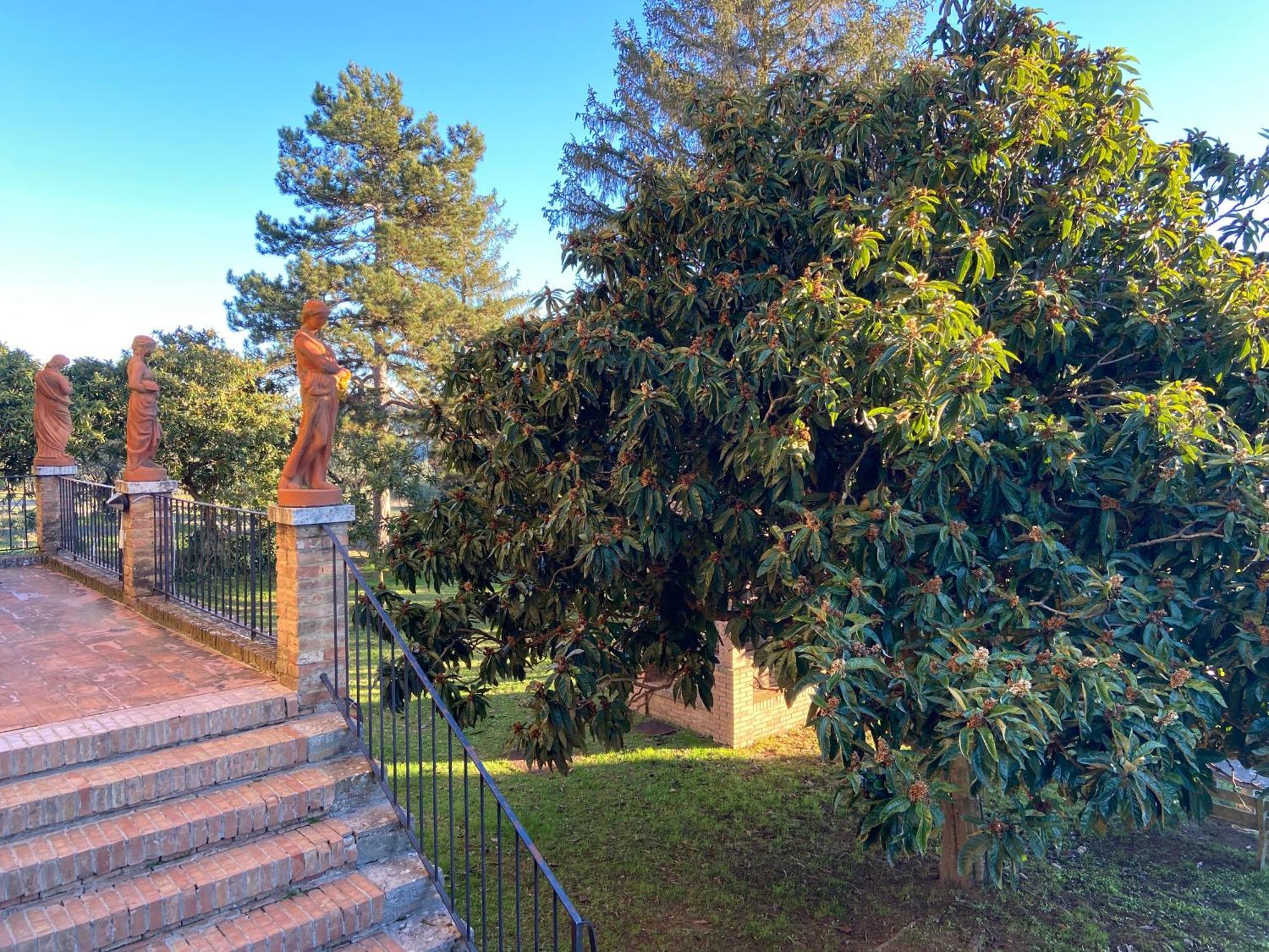 סיינה Casaletolfe Residence מראה חיצוני תמונה
